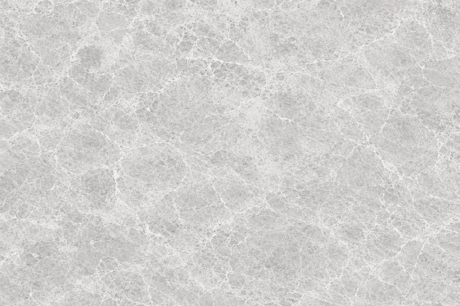 Texture du Marbre Gris Tundra